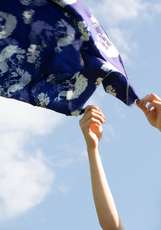 Saten Silki LF x BULKA Rose Garden