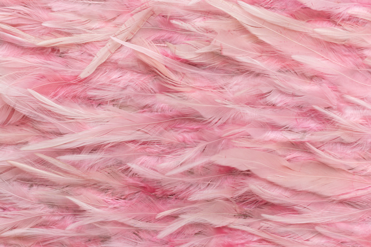 Čipka Kristal Feather 101