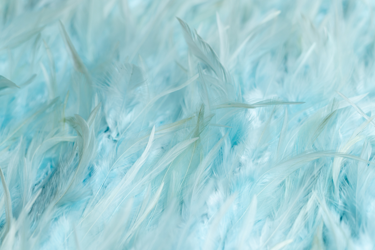 Čipka Kristal Feather 104