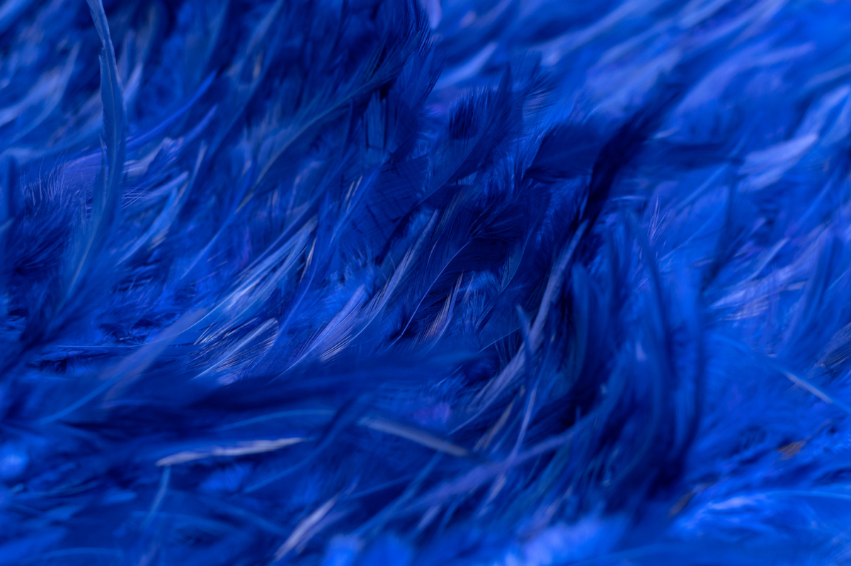 Čipka Kristal Feather 105