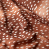 Sarto Print 02