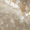 Pajete Sedef 01