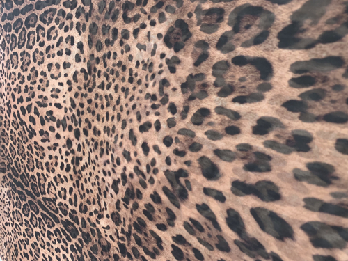 Muslin Silki Print 14 